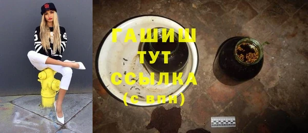 хмурый Алексин
