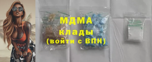 ГАЛЛЮЦИНОГЕННЫЕ ГРИБЫ Михайлов