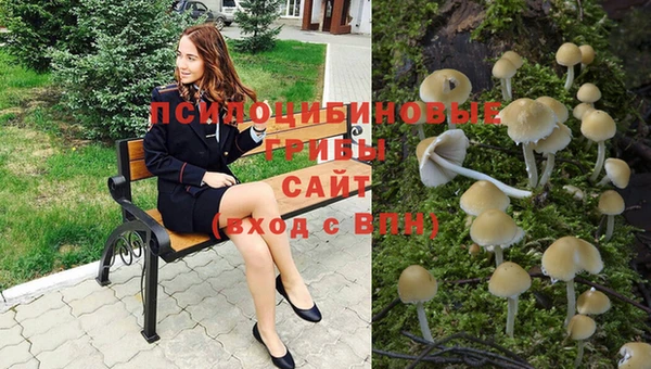 прущие крисы Алзамай