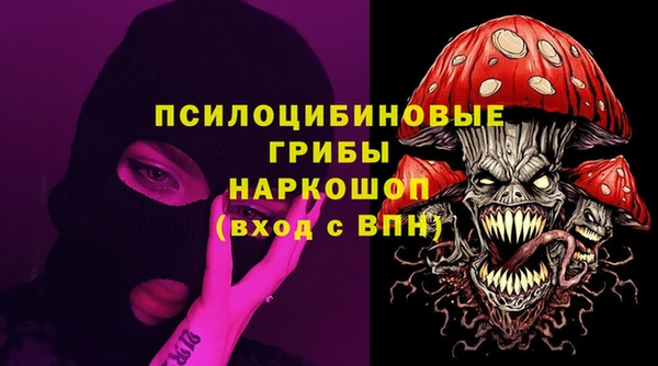 хмурый Алексин
