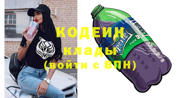 хмурый Алексин