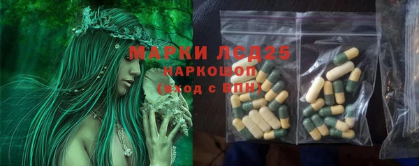 стаф Абаза