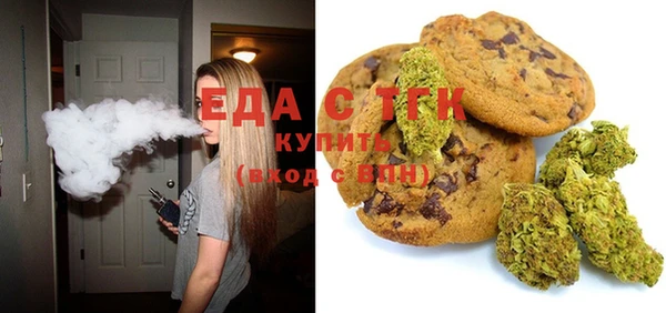 хмурый Алексин