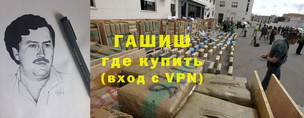 хмурый Алексин