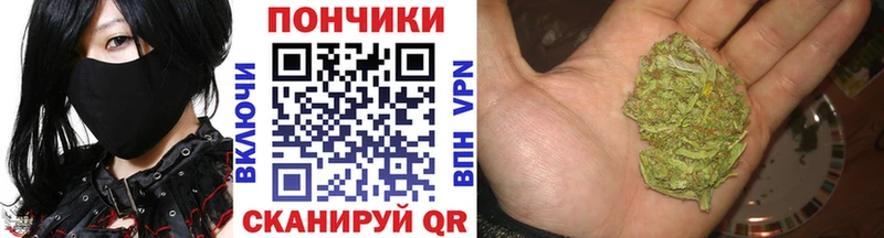 Шишки марихуана сатива  Чадан 